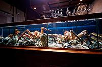 Ремонт торговых аквариумов и витрин для морепродуктов AQUA STORE