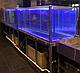 Ремонт торговых аквариумов и витрин для морепродуктов AQUA STORE - фото 5 - id-p125346552