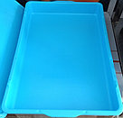 Контейнер лоток для теста Restola, фото 2