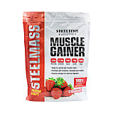 Гейнер высокоуглеводный Steeltime Nutrition Steel Mass 10 порций 1000 гр, фото 2