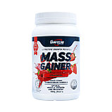 Гейнер высокоуглеводный Geneticlab Mega mass Gainer 10 порций 1000 гр, фото 3