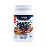 Гейнер высокоуглеводный Geneticlab Mega mass Gainer 10 порций 1000 гр, фото 2