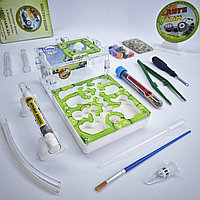 Муравьиная ферма и Муравьи ANTsFARM | Формикарий и жнецы | Набор START