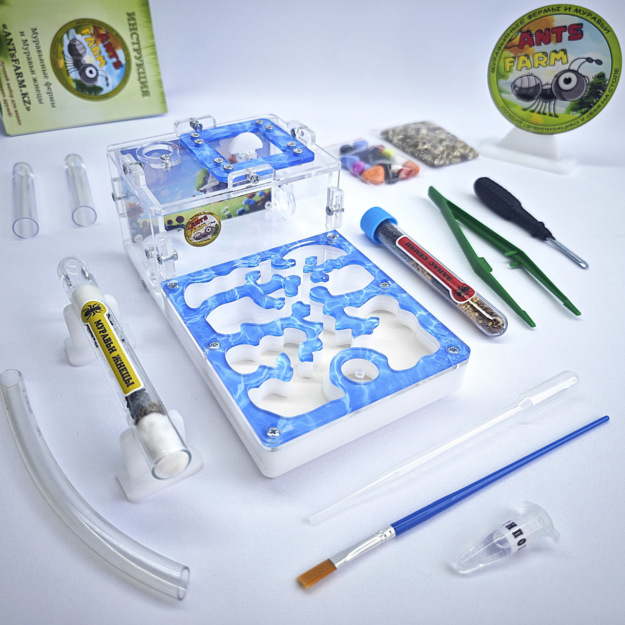 Муравьиная ферма и Муравьи ANTsFARM | Формикарий и жнецы | Набор START, фото 1
