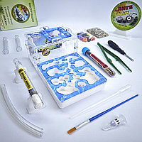 Муравьиная ферма и Муравьи ANTsFARM | Формикарий и жнецы | Набор START