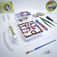 Муравьиная ферма и Муравьи ANTsFARM | Формикарий и жнецы | Набор START