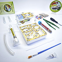 Муравьиная ферма и Муравьи ANTsFARM | Формикарий и жнецы | Набор START