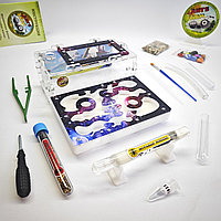 Муравьиная ферма и Муравьи ANTsFARM | Формикарий и жнецы | Набор PREMIUM