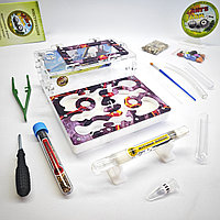 Муравьиная ферма и Муравьи ANTsFARM | Формикарий и жнецы | Набор PREMIUM