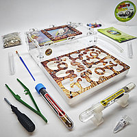 Муравьиная ферма и Муравьи ANTsFARM | Формикарий и жнецы | Набор ADVANCED