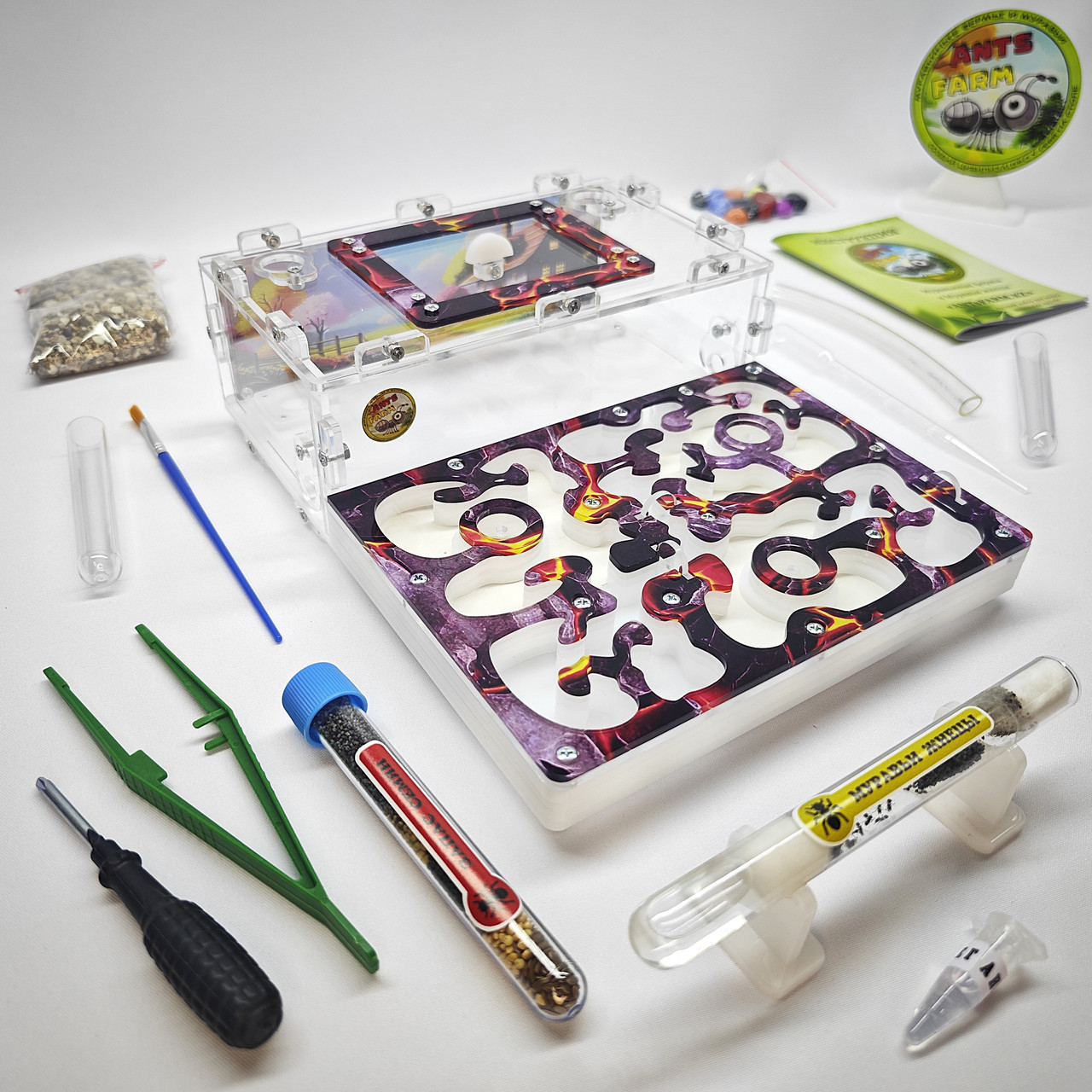 Муравьиная ферма и Муравьи ANTsFARM | Формикарий и жнецы | Набор ADVANCED, фото 1