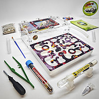 Муравьиная ферма и Муравьи ANTsFARM | Формикарий и жнецы | Набор ADVANCED