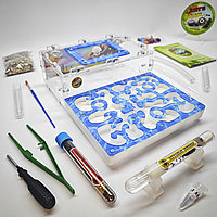 Муравьиная ферма и Муравьи ANTsFARM | Формикарий и жнецы | Набор ADVANCED