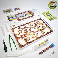 Муравьиная ферма и Муравьи ANTsFARM | Формикарий и жнецы | Набор ACE