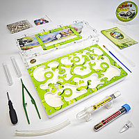 Муравьиная ферма и Муравьи ANTsFARM | Формикарий и жнецы | Набор ACE