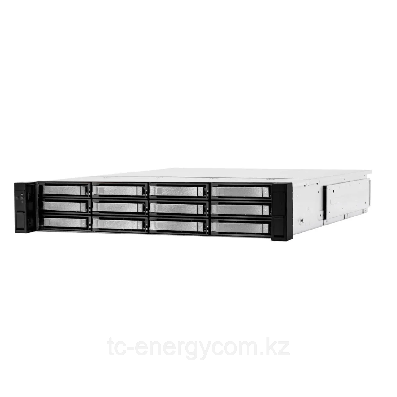 Дисковая полка SNR-JB212D, 2U, 12xHDD, 2 контроллера 12Gb/s, резервируемый БП, фото 1