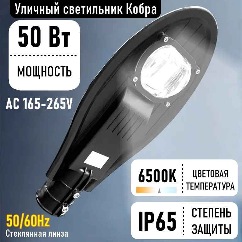 Уличный светильник Кобра СКУ/ДКУ 50 Вт 6500К - фото 1 - id-p125405512