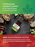 ЗЕЛЁНЫЙ ЛЕКАРЬ "Для сердца и сосудов" 60 капсул, фото 4