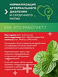 ЗЕЛЁНЫЙ ЛЕКАРЬ "Для сердца и сосудов" 60 капсул, фото 6