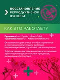 ЗЕЛЁНЫЙ ЛЕКАРЬ "Гинекологический", для женского здоровья 60 капсул, фото 6