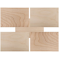 Доски для выжигания «Набор творческий» (без рисунка), 148х210мм (А5), 5 шт., пакет REXANT