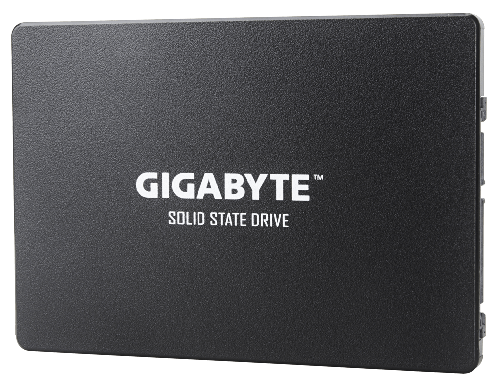 Твердотельный накопитель SSD Gigabyte 256Gb (GSTFS31256GTND)