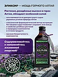 Фитобальзам Эликсир Премиум для здоровья и иммунитета Алтайский Нектар 200 мл., фото 4