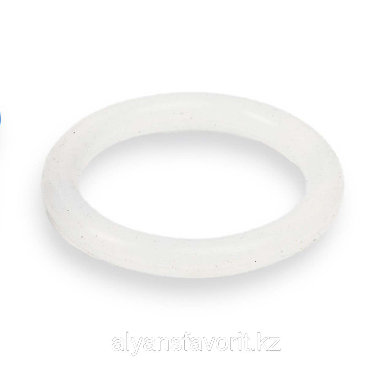 Уплотнительное кольцо сопла для LPF/PPF 50-1000 (25x18x3мм)