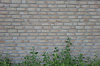 Кирпич облицовочный полнотелый 7593b Deppe (Германия) NF 240*115*71мм