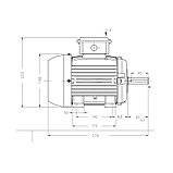 Асинхронный электродвигатель WEG 12310536 AM W20 -100L 2.2 кВт 4P B3T 220-460 В 50 Гц, фото 3