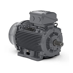 Асинхронный электродвигатель WEG 16257924 WGOST-L100L 4 кВт 4P B3T 220/380 В 50 Гц