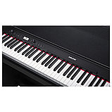 Цифровое пианино Nux NCK-330, фото 3