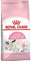 Корм Royal Canin Mother&Baby для беременных или кормящих кошек, со вкусом птицы 2 кг