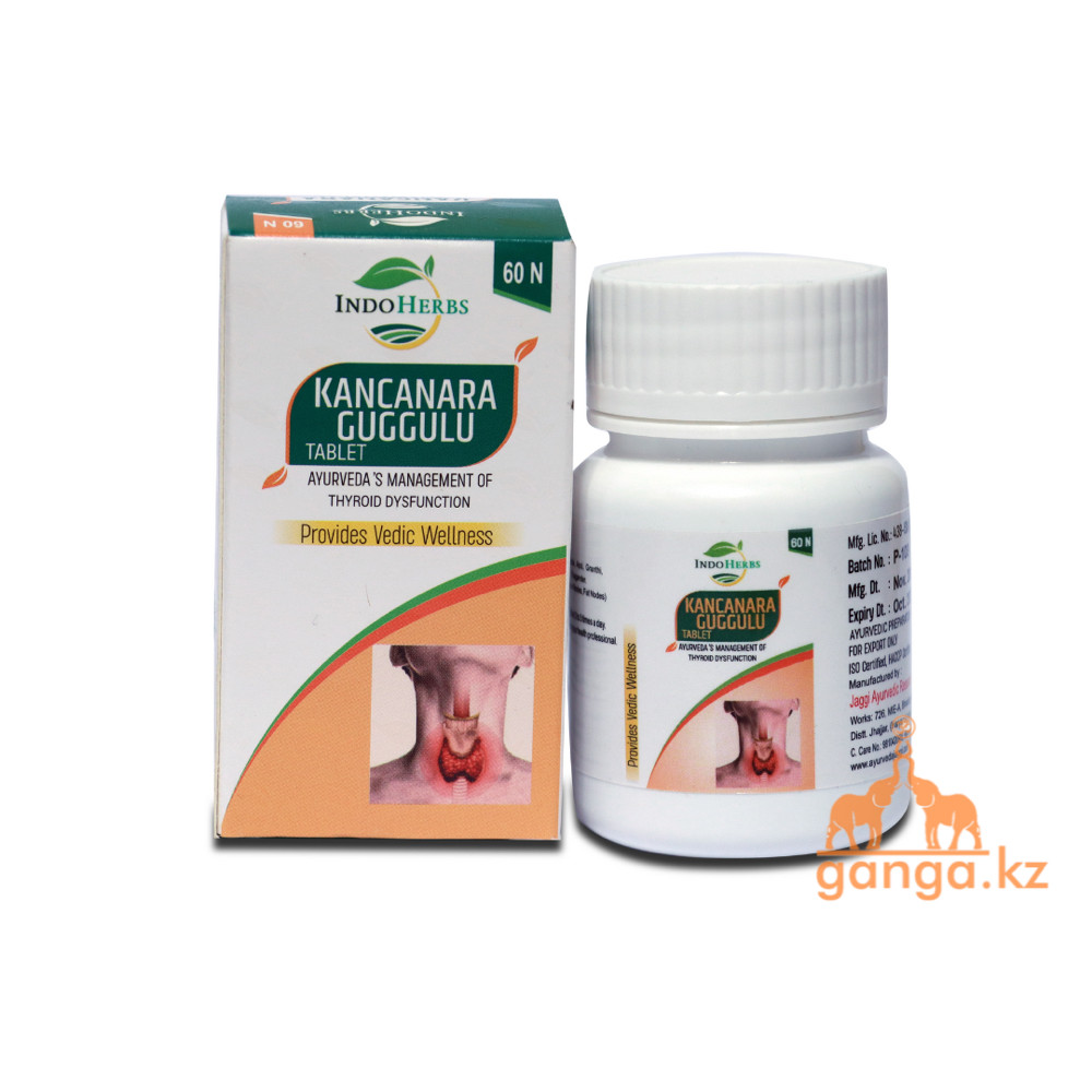 Канчнара Гуггул при заболеваниях лимфатической системы (Kancanara Guggulu tablet INDOHERBS), 60 таб, фото 1