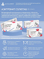 Азитронит Солютаб 40мг ,5таб