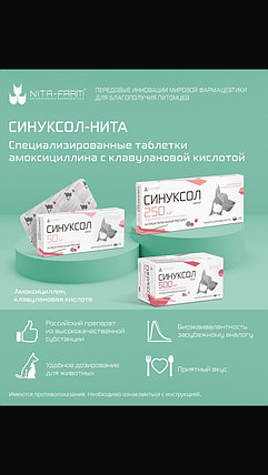 Синуксол 500, 10таб, фото 2