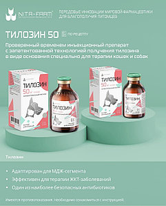 Гей бауырлар порно