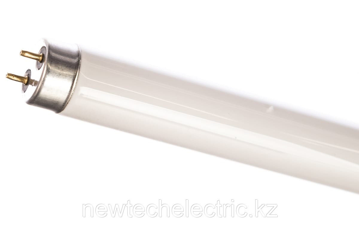 Лампа люминесцентная Camelion 18Вт/54 FT8 6500 G13 T8 60mm, фото 1