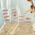 Демонстрационная планшетка большая рельефная 26*20, фото 5