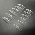 Верхние формы, когти, фото 4