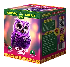 Салютная установка "Мудрая сова / ДАНА ЖАПАЛАҚ"