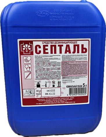 Cредство дезинфицирующее для рук и перчаток Септаль, фото 1
