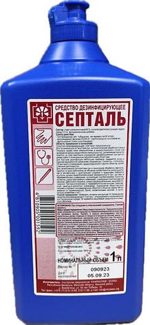 Cредство дезинфицирующее для рук и перчаток Септаль, фото 2