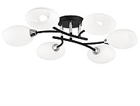 Потолочная люстра Флорида CL148165