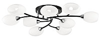 Потолочная люстра Флорида CL148195