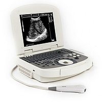 Ветеринарный УЗИ VT98c
