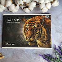 Альбом для рисования А4  40 листов "Тигр"