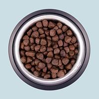 Dog&Dog Wild Regional Ocean беззерновой корм для взрослых собак всех пород с лососем, 1 кг