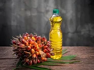 Пальмовое масло и его роль в производстве готовых соусов и маринадов