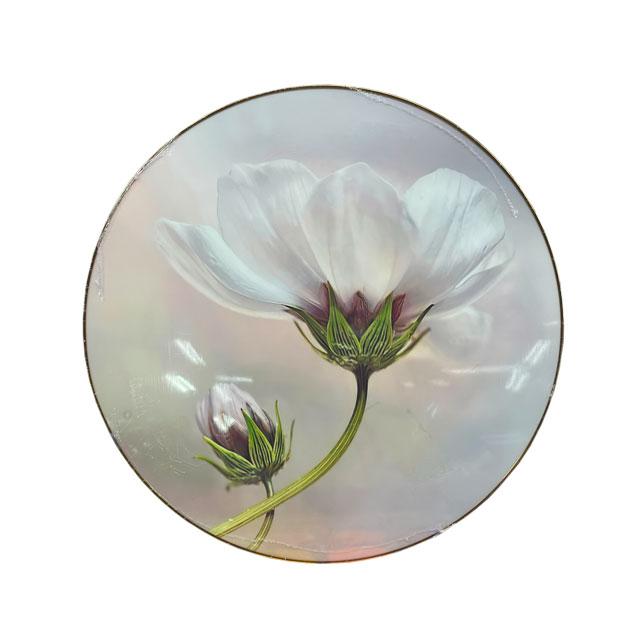 Канвасная картина Magnolia 50 см, фото 1